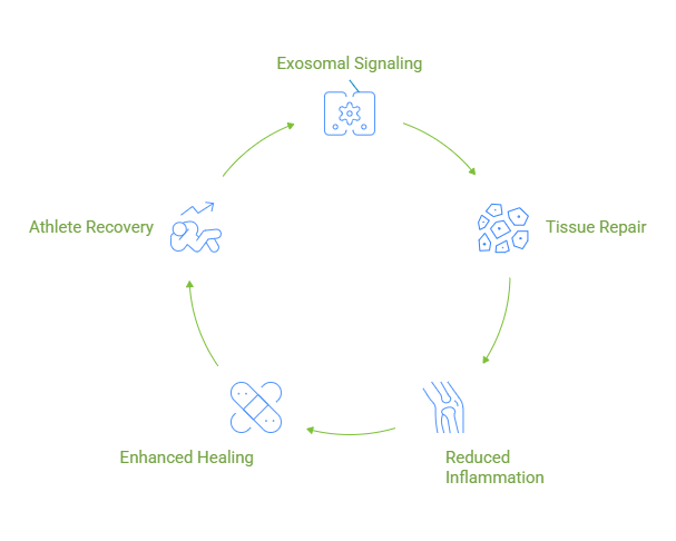 Regenerative Ohio & Chicago -